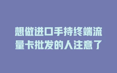 想做进口手持终端流量卡批发的人注意了