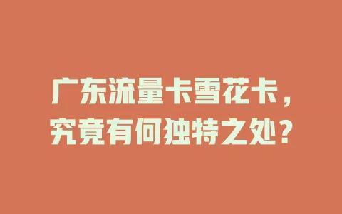 广东流量卡雪花卡，究竟有何独特之处？
