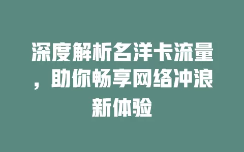 深度解析名洋卡流量，助你畅享网络冲浪新体验