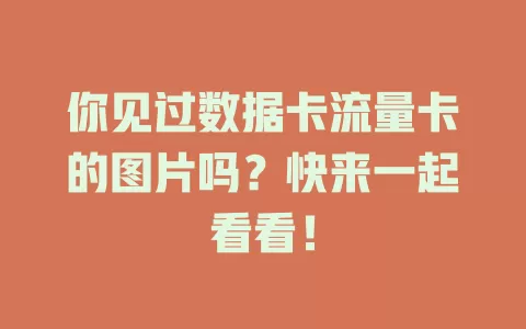 你见过数据卡流量卡的图片吗？快来一起看看！