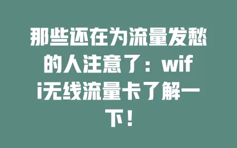 那些还在为流量发愁的人注意了：wifi无线流量卡了解一下！