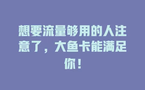 想要流量够用的人注意了，大鱼卡能满足你！