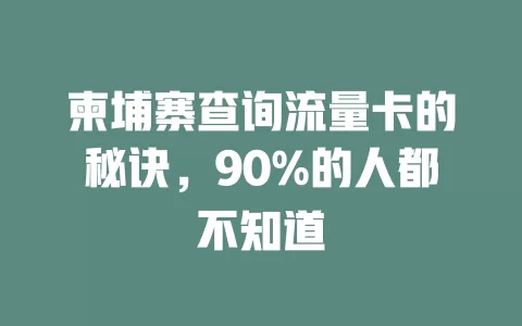 柬埔寨查询流量卡的秘诀，90%的人都不知道