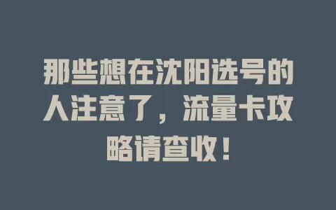 那些想在沈阳选号的人注意了，流量卡攻略请查收！