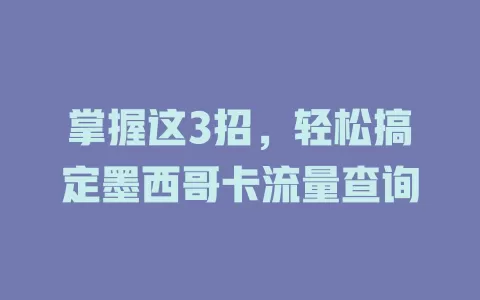 掌握这3招，轻松搞定墨西哥卡流量查询