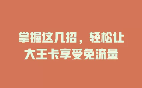 掌握这几招，轻松让大王卡享受免流量