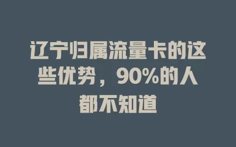 辽宁归属流量卡的这些优势，90%的人都不知道
