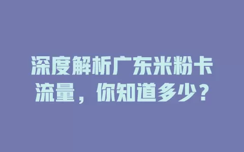 深度解析广东米粉卡流量，你知道多少？