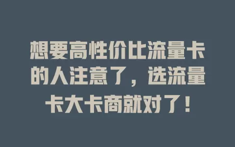 想要高性价比流量卡的人注意了，选流量卡大卡商就对了！