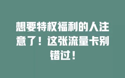 想要特权福利的人注意了！这张流量卡别错过！