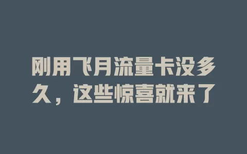 刚用飞月流量卡没多久，这些惊喜就来了