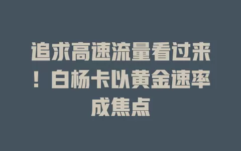 追求高速流量看过来！白杨卡以黄金速率成焦点