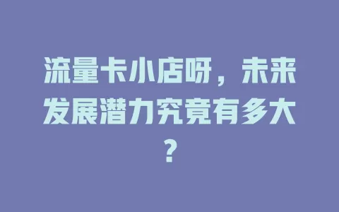 流量卡小店呀，未来发展潜力究竟有多大？