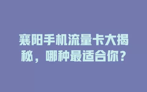 襄阳手机流量卡大揭秘，哪种最适合你？