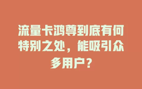 流量卡鸿尊到底有何特别之处，能吸引众多用户？