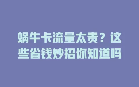 蜗牛卡流量太贵？这些省钱妙招你知道吗