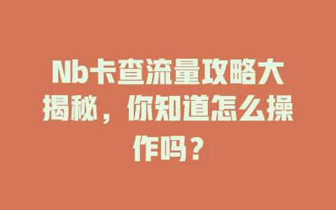 Nb卡查流量攻略大揭秘，你知道怎么操作吗？