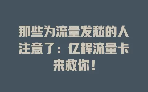 那些为流量发愁的人注意了：亿辉流量卡来救你！