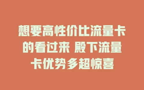 想要高性价比流量卡的看过来 殿下流量卡优势多超惊喜