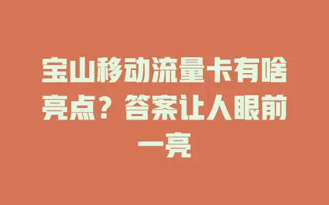 宝山移动流量卡有啥亮点？答案让人眼前一亮