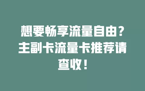 想要畅享流量自由？主副卡流量卡推荐请查收！