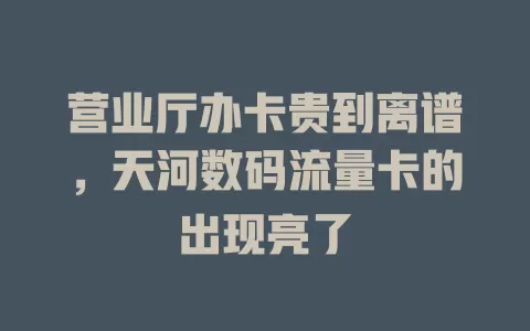 营业厅办卡贵到离谱，天河数码流量卡的出现亮了