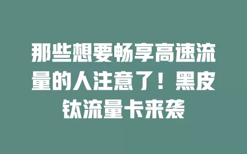 那些想要畅享高速流量的人注意了！黑皮钛流量卡来袭