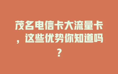 茂名电信卡大流量卡，这些优势你知道吗？
