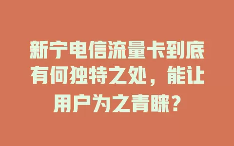 新宁电信流量卡到底有何独特之处，能让用户为之青睐？