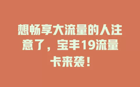 想畅享大流量的人注意了，宝丰19流量卡来袭！