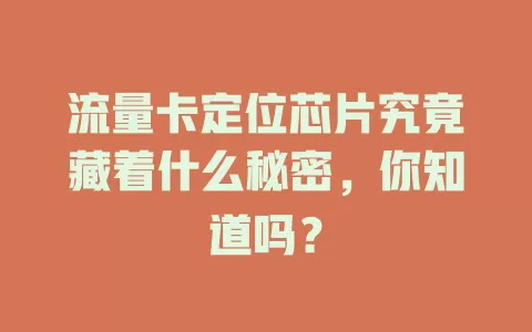流量卡定位芯片究竟藏着什么秘密，你知道吗？