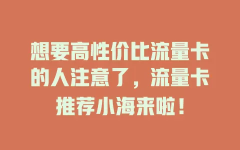想要高性价比流量卡的人注意了，流量卡推荐小海来啦！