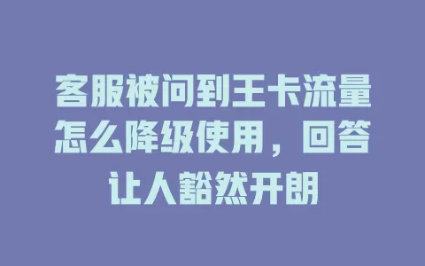 客服被问到王卡流量怎么降级使用，回答让人豁然开朗