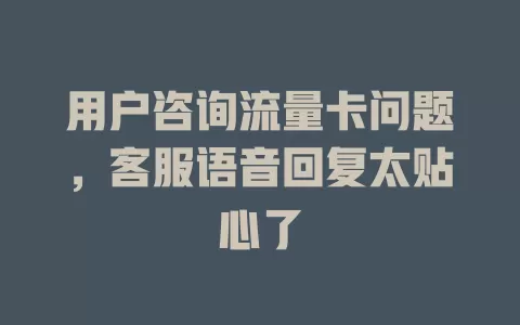 用户咨询流量卡问题，客服语音回复太贴心了
