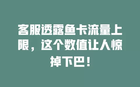 客服透露鱼卡流量上限，这个数值让人惊掉下巴！