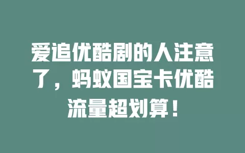 爱追优酷剧的人注意了，蚂蚁国宝卡优酷流量超划算！