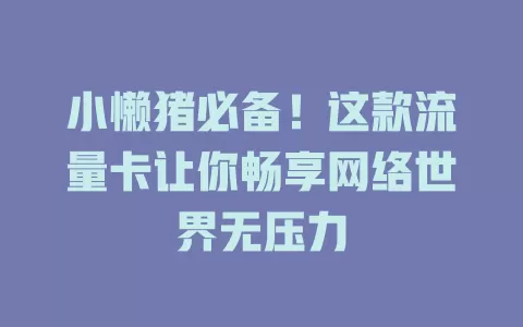 小懒猪必备！这款流量卡让你畅享网络世界无压力