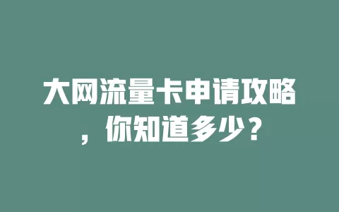 大网流量卡申请攻略，你知道多少？