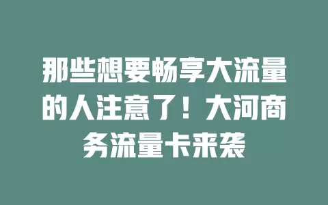 那些想要畅享大流量的人注意了！大河商务流量卡来袭