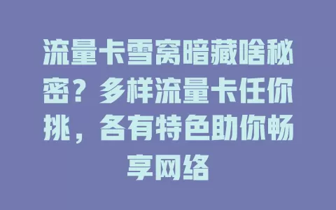 流量卡雪窝暗藏啥秘密？多样流量卡任你挑，各有特色助你畅享网络