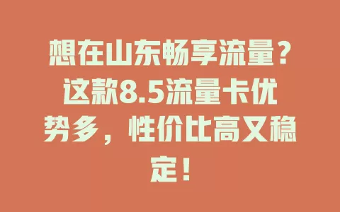 想在山东畅享流量？这款8.5流量卡优势多，性价比高又稳定！