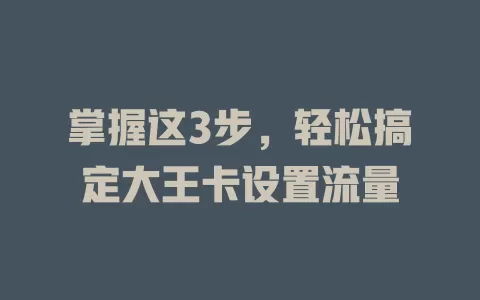 掌握这3步，轻松搞定大王卡设置流量