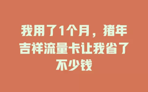 我用了1个月，猪年吉祥流量卡让我省了不少钱