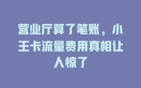 营业厅算了笔账，小王卡流量费用真相让人惊了