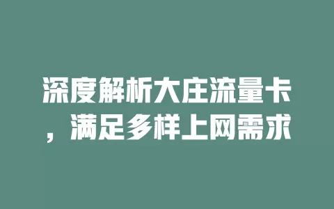 深度解析大庄流量卡，满足多样上网需求