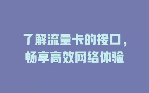 了解流量卡的接口，畅享高效网络体验