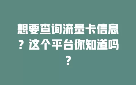 想要查询流量卡信息？这个平台你知道吗？