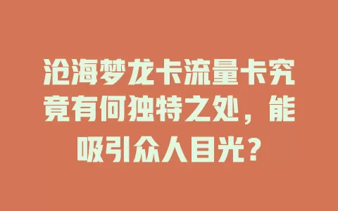 沧海梦龙卡流量卡究竟有何独特之处，能吸引众人目光？