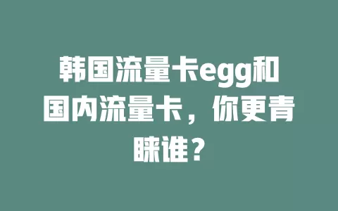 韩国流量卡egg和国内流量卡，你更青睐谁？