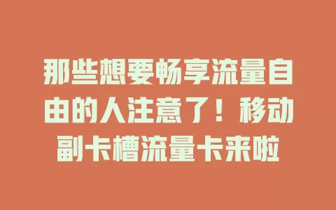 那些想要畅享流量自由的人注意了！移动副卡槽流量卡来啦
